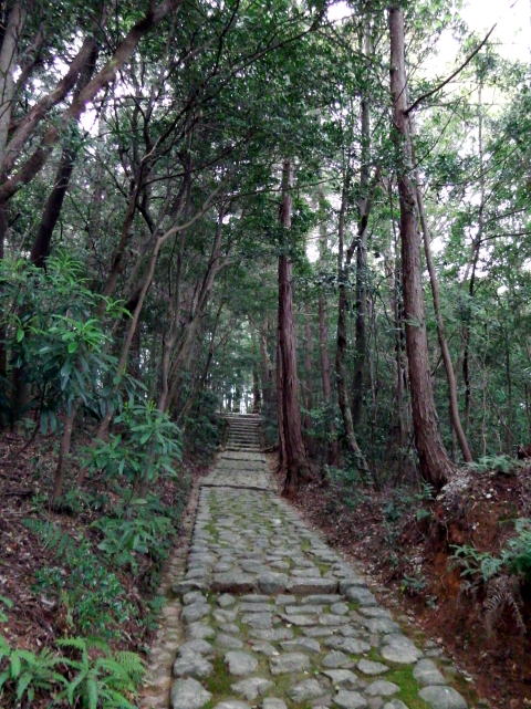 参拝・歩行記録の写真