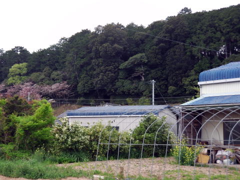 参拝・歩行記録の写真