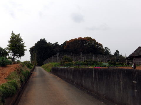 参拝・歩行記録の写真