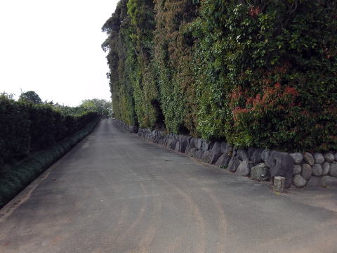 参拝・歩行記録の写真