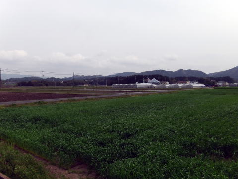 参拝・歩行記録の写真