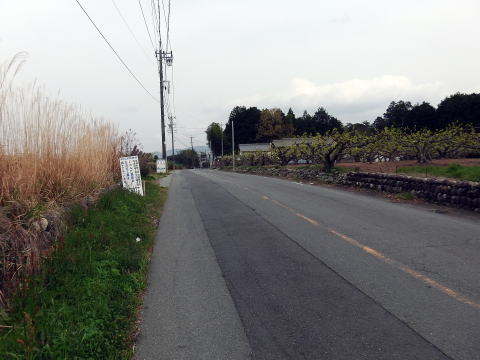 参拝・歩行記録の写真