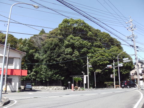 参拝・歩行記録の写真