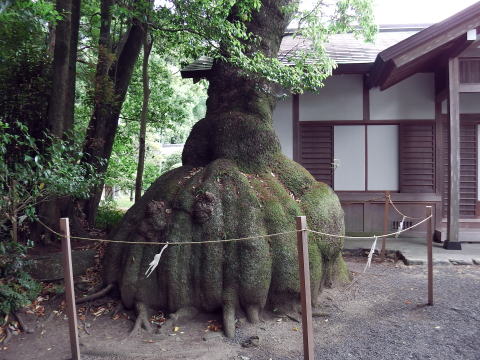参拝・歩行記録の写真
