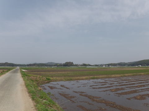 参拝・歩行記録の写真