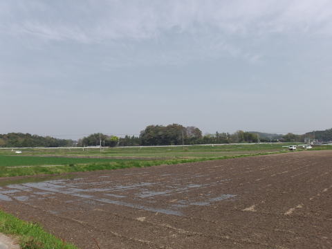 参拝・歩行記録の写真