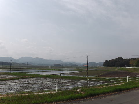 参拝・歩行記録の写真