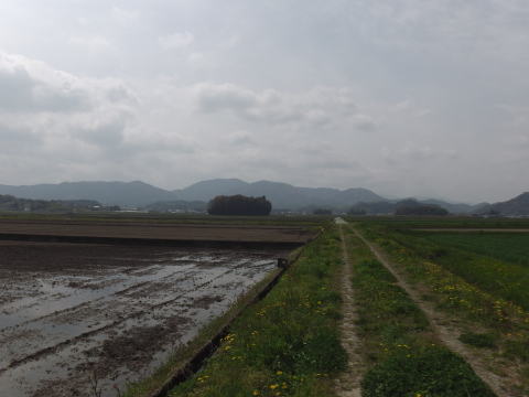 参拝・歩行記録の写真