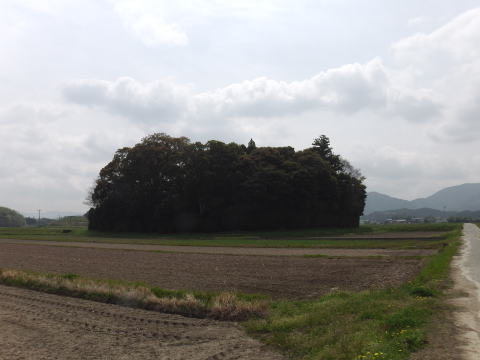 参拝・歩行記録の写真