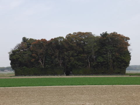 参拝・歩行記録の写真