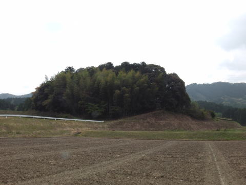 参拝・歩行記録の写真