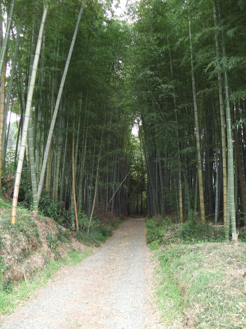 参拝・歩行記録の写真
