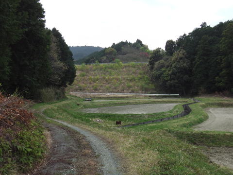 参拝・歩行記録の写真
