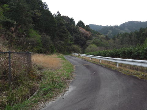 参拝・歩行記録の写真