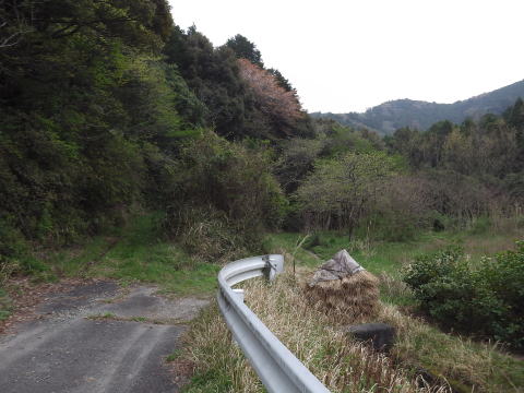 参拝・歩行記録の写真
