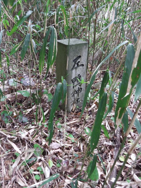 参拝・歩行記録の写真