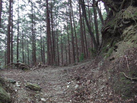 参拝・歩行記録の写真