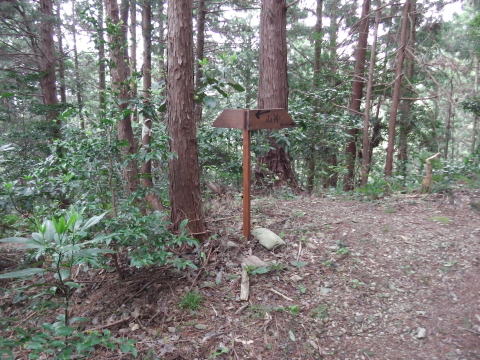 参拝・歩行記録の写真