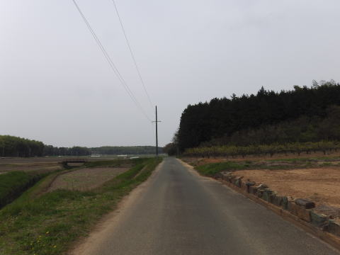 参拝・歩行記録の写真