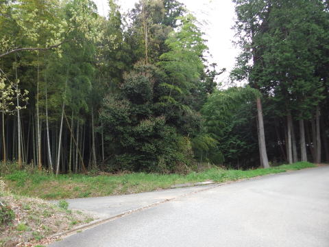 参拝・歩行記録の写真